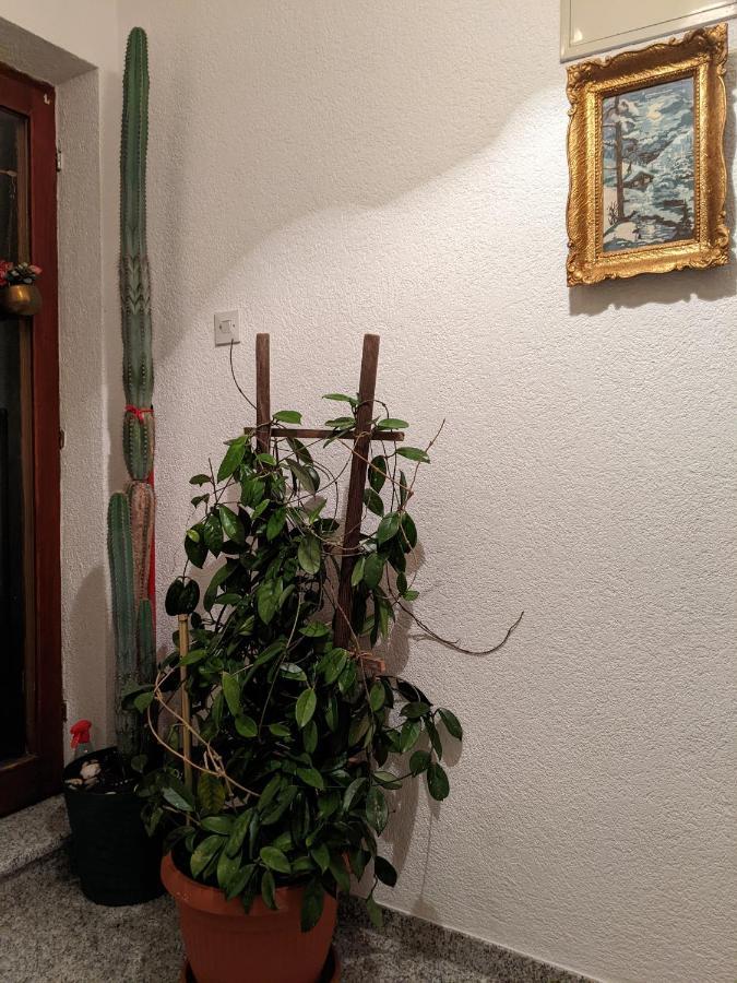 Bihać Apartmani Hrastik מראה חיצוני תמונה