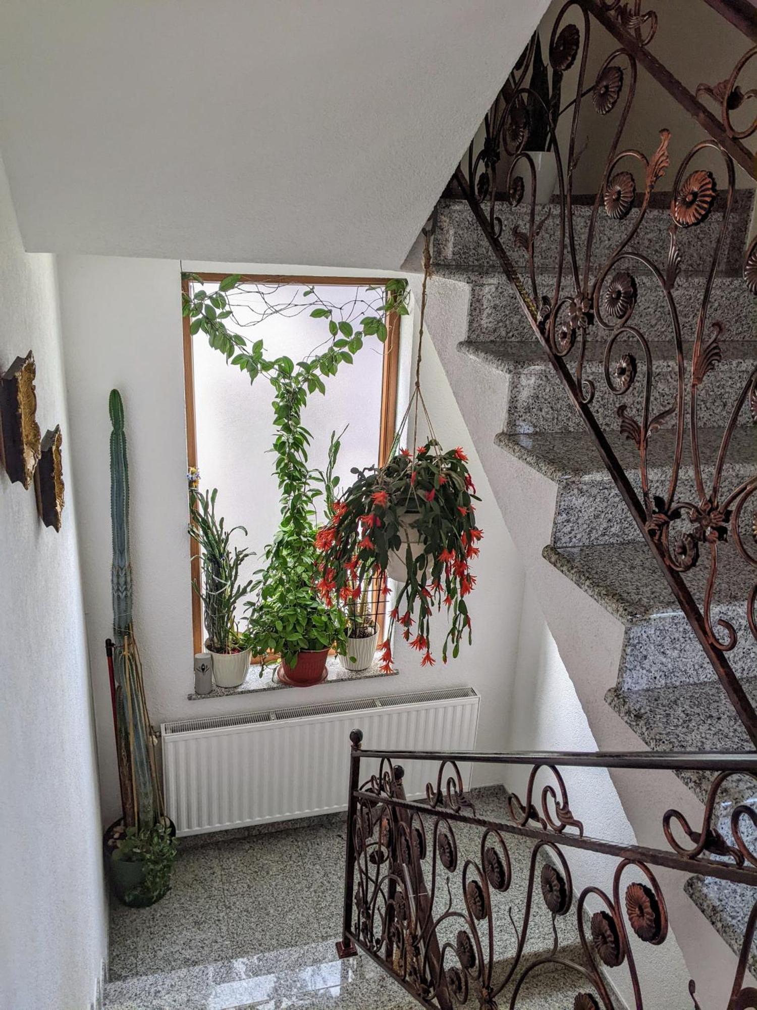 Bihać Apartmani Hrastik מראה חיצוני תמונה