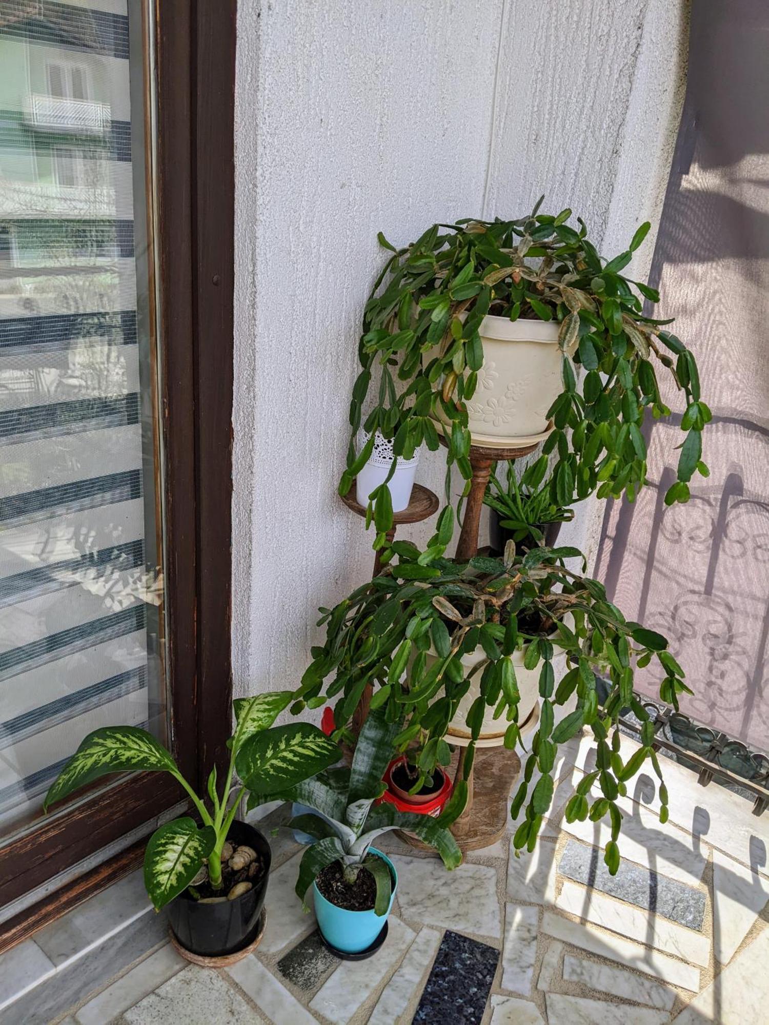 Bihać Apartmani Hrastik חדר תמונה