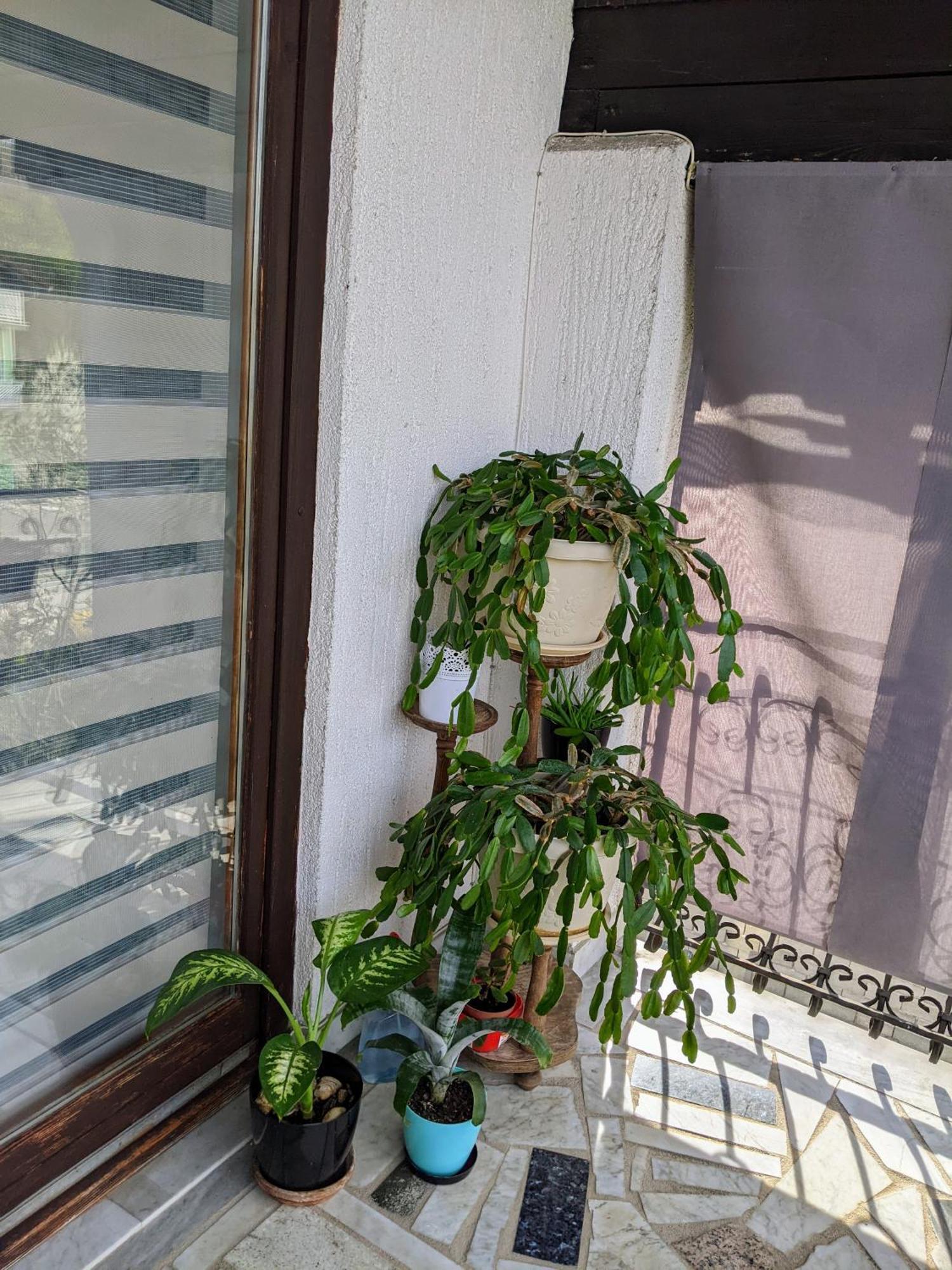 Bihać Apartmani Hrastik חדר תמונה